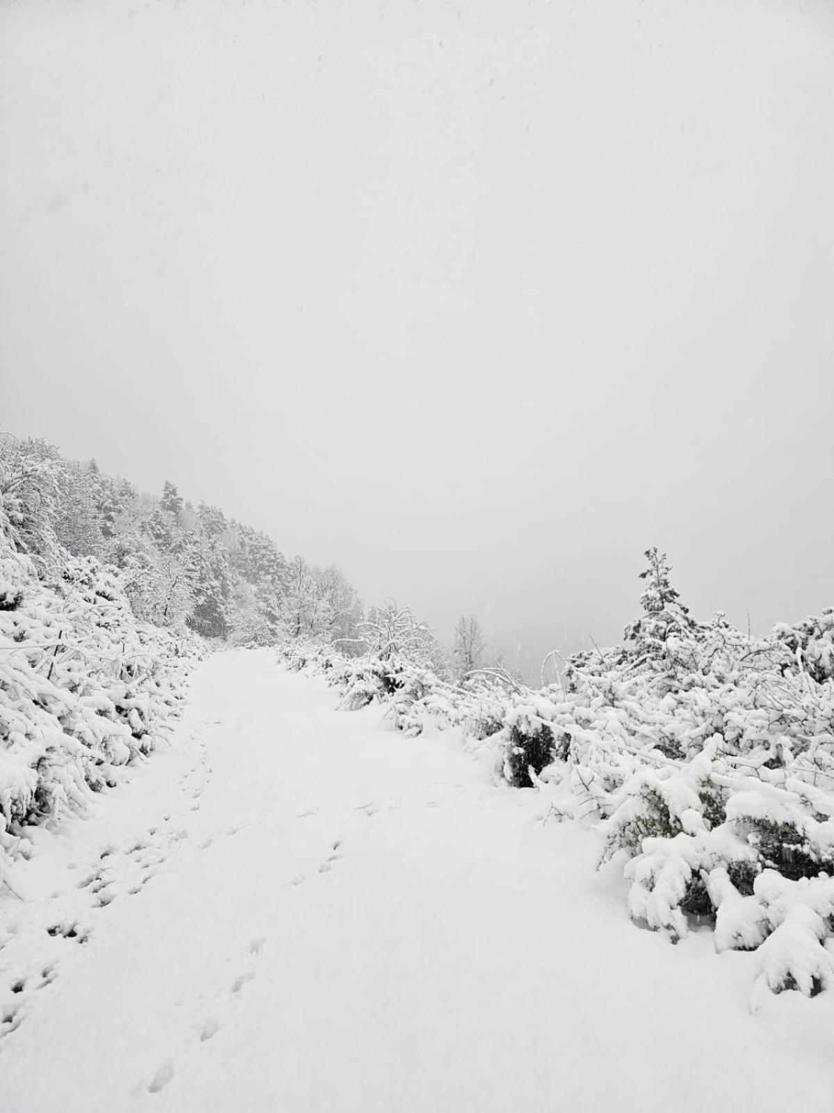 Saldes Pedraforca 아파트 외부 사진